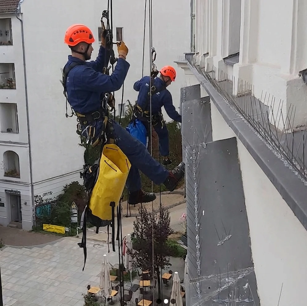 Instalación de sistema antipaloma en edificio residencial